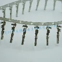 12124581 (4).webp