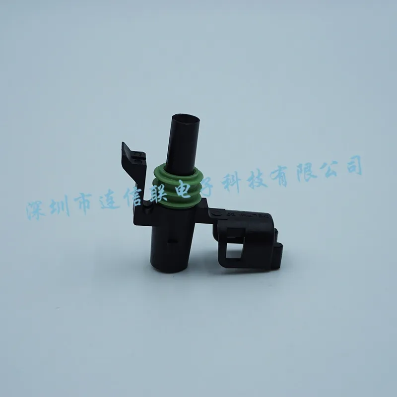 12015791 (4).webp