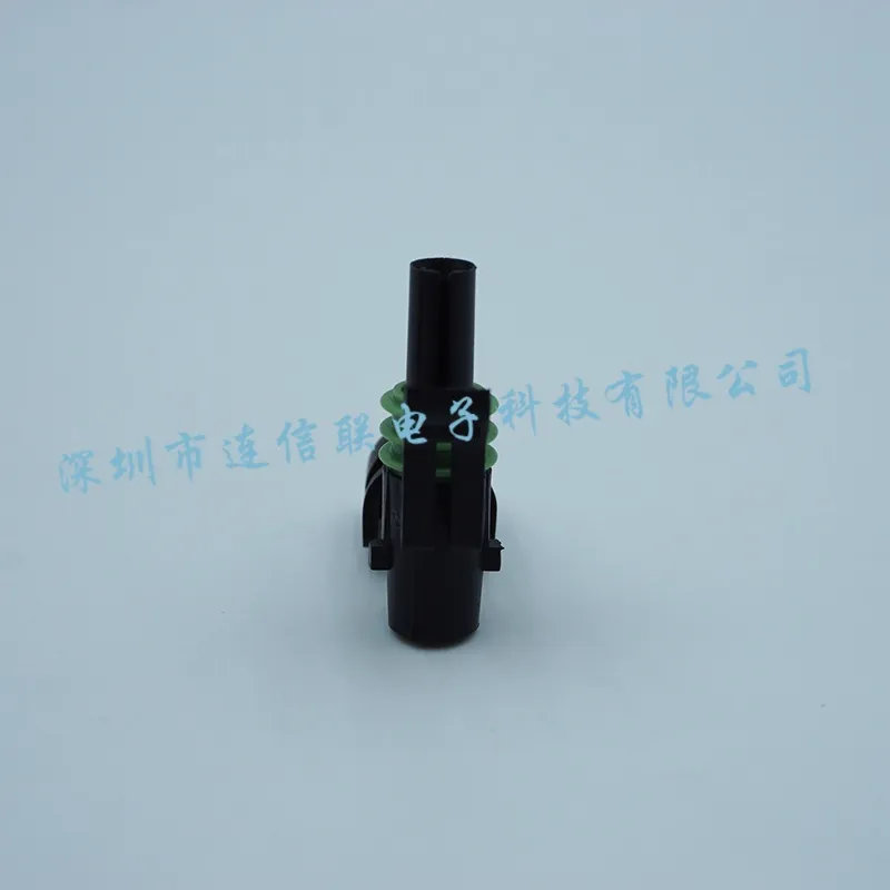 12015791 (2).webp