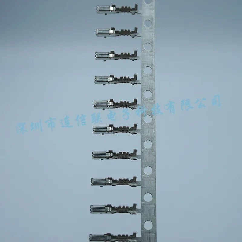 12089290 (4).webp