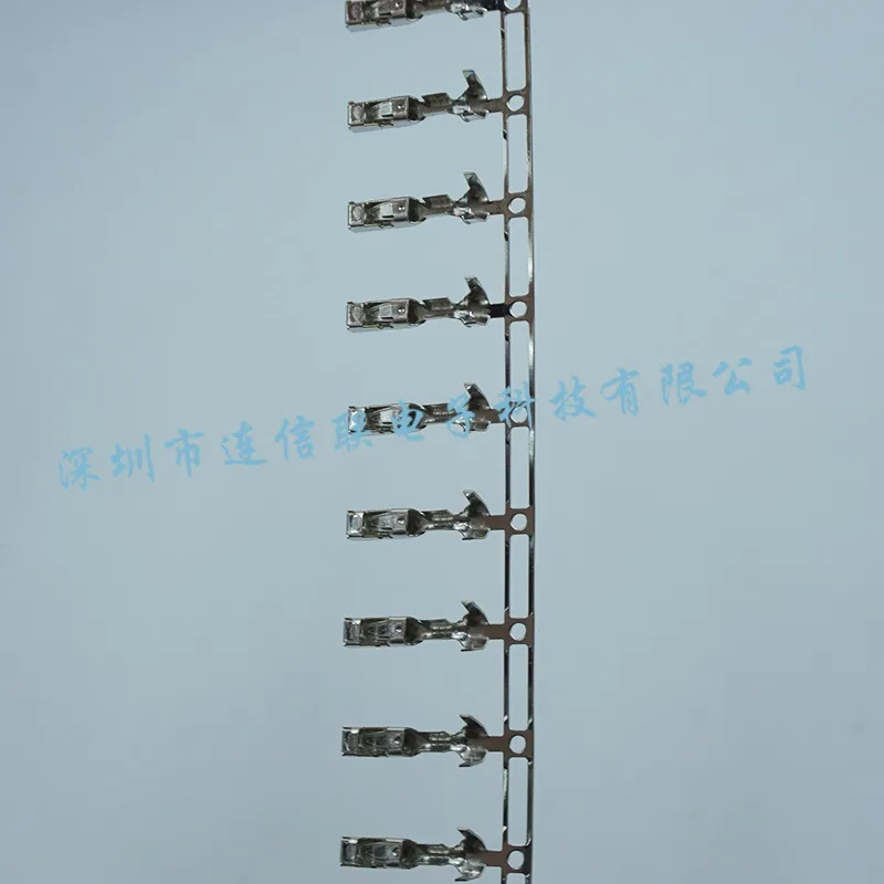 15304719 (4).webp