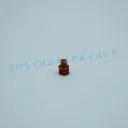 15324973 (2).webp