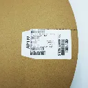 13959120- (1).webp