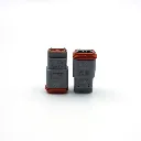 DT06-2S- (1).webp
