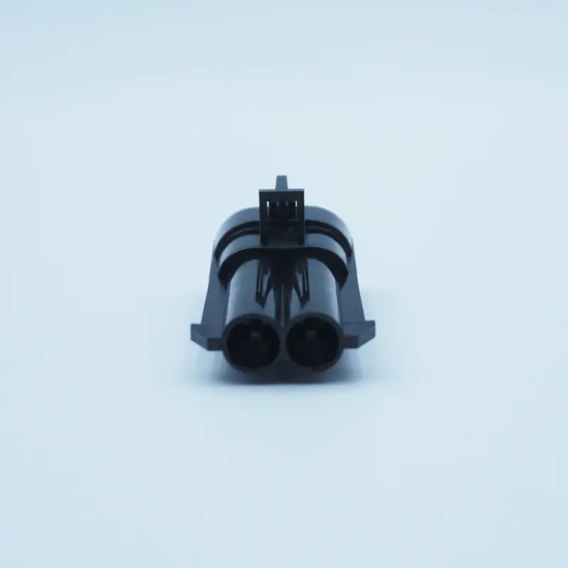 12065863 (APTIV)