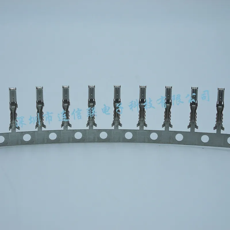 12089290 (APTIV)