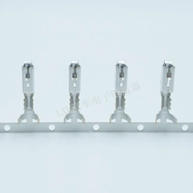 12077411 (APTIV)