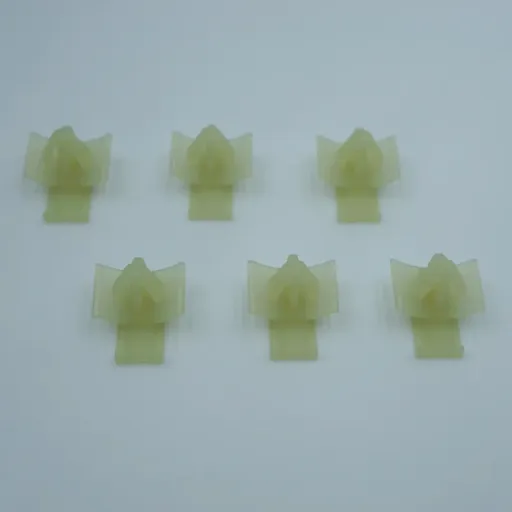 MG631467